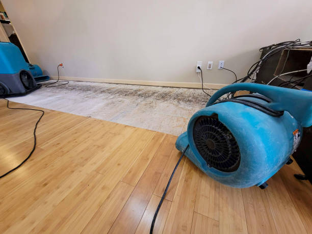 Professional Sewage Cleanup technician working in Tahoma, CA